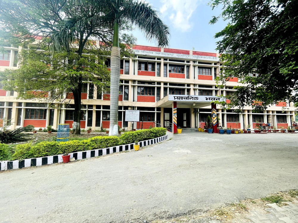 Institute
